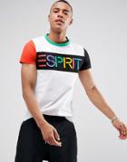 Esprit T-shirt With Logo Color Block In Organic Cotton - White