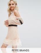 True Decadence Petite Cold Shoulder All Over Lace Mini Dress With Contrast Waistband And Mesh Hem - Pink