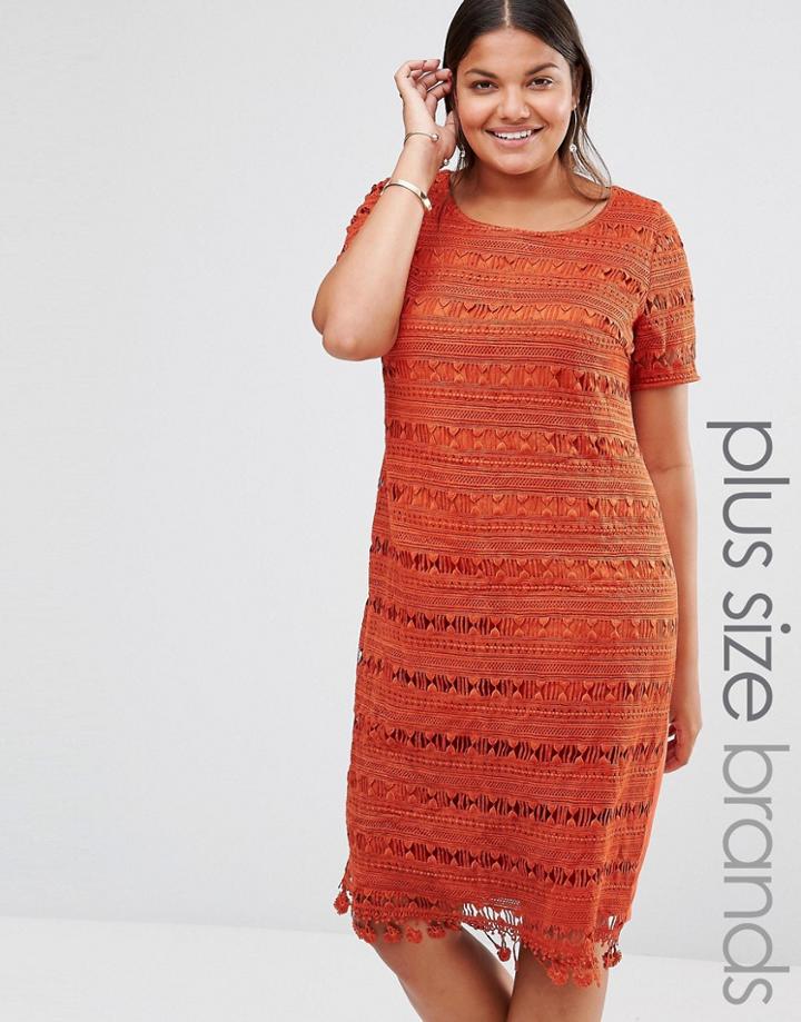 Lovedrobe Lace Shift Dress - Copper