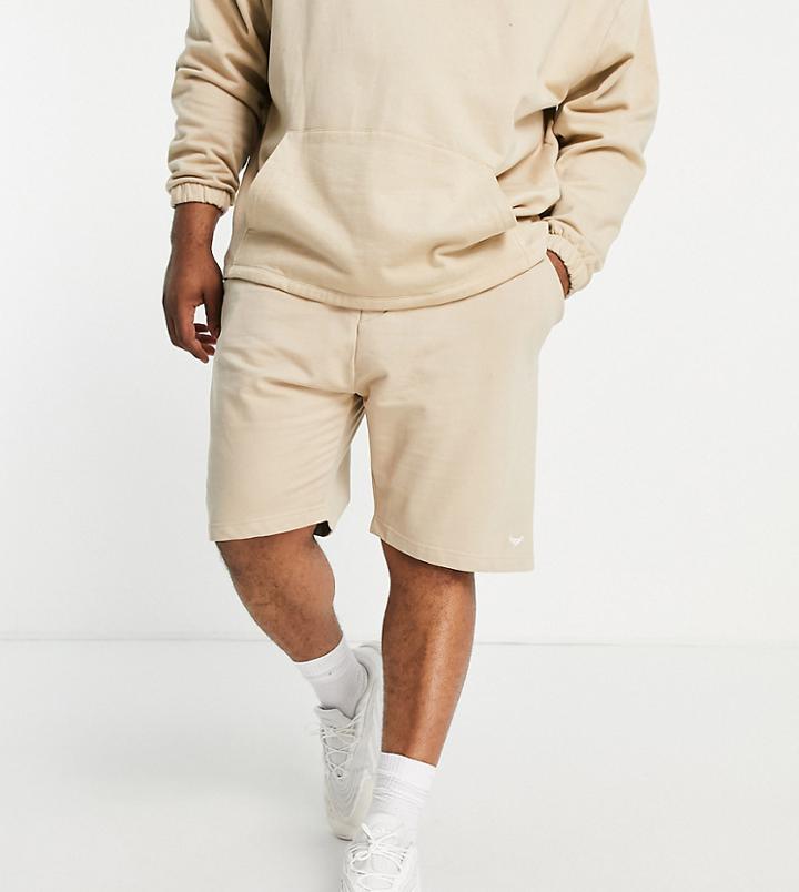 Threadbare Plus Contrast Panel Jersey Shorts In Stone-neutral