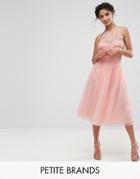 Little Mistress Petite Waisted Tulle Prom Skirt - Pink