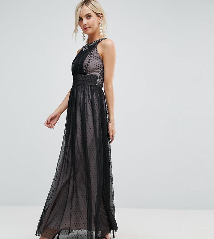 Little Mistress Petite Embellished Top Dotty Mesh Maxi Dress - Black