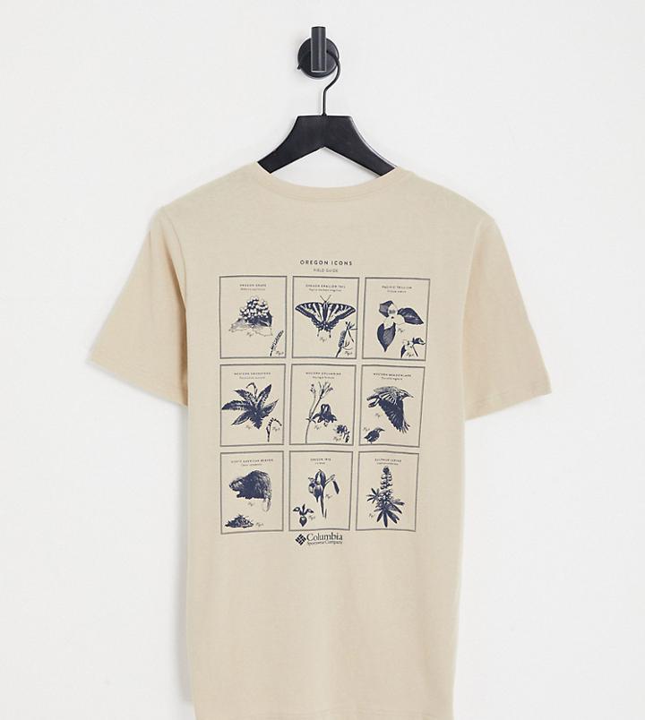 Columbia Rapid Ridge Ii Back Print T-shirt In Beige Exclusive To Asos-neutral