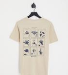 Columbia Rapid Ridge Ii Back Print T-shirt In Beige Exclusive To Asos-neutral