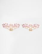 Asos Occasion Shoe Clip - Pink