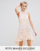 True Decadence Petite Allover High Neck Premium Lace Mini Dress - Pink