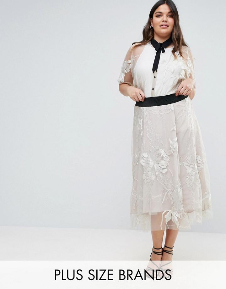 Elvi Premium Sheer Dip Hem Maxi Skirt - Pink