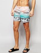 Native Youth Flamingo Swim Shorts - Multi