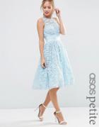 Asos Petite Salon Lace Applique Midi Prom Dress - Blue