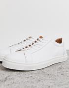Selected Homme Premium Leather Sneaker In White - White
