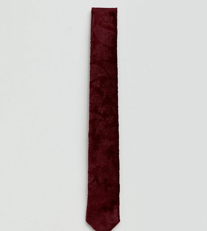 Noose & Monkey Paisley Tie In Velvet - Red