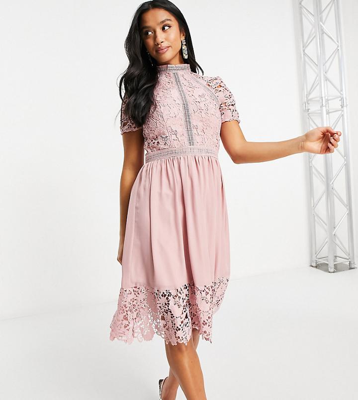 Chi Chi London Petite Lace Detail Skater Dress In Pink
