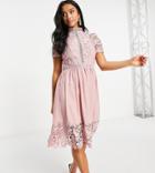 Chi Chi London Petite Lace Detail Skater Dress In Pink