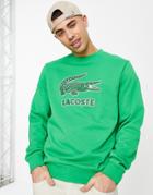 Lacoste Smashed Croc Crew Neck Sweatshirt In Green