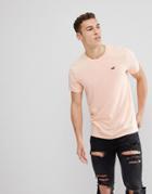 Hollister Crew Neck T-shirt Seagull Logo In Peach Parfait - Orange