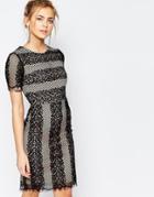 Oasis Stripe Lace Dress