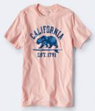 Aeropostale Aeropostale Floral California Bear Graphic Tee - Rose Blush, Xsmall