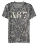 Aeropostale A87 Tropical Logo Graphic T