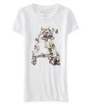 Aeropostale Wildflower A Graphic T