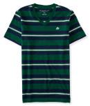 Aeropostale Core Stripe Logo V-neck Tee
