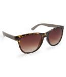 Aeropostale Tortoiseshell Waymax Sunglasses
