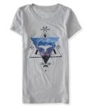 Aeropostale Eagle Triangle Graphic T