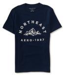 Aeropostale Northeast Peaks Graphic T