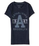 Aeropostale Established 1987 Felt Graphic T