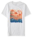 Aeropostale Mountain Image Graphic T