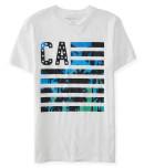 Aeropostale Ca Palm Flag Graphic T