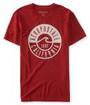 Aeropostale Aero Wave Heathered Logo Graphic T