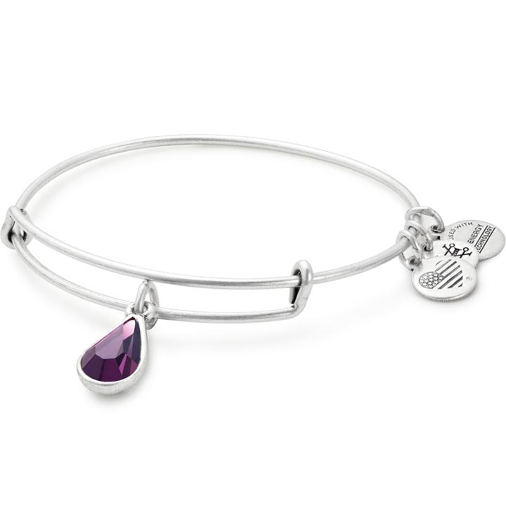 Alex And Ani February Birth Month Charm Bangle With Swarovski® Crystal, Rafaelian Silver Finish