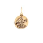 Alex And Ani Hawthorn Necklace Charm