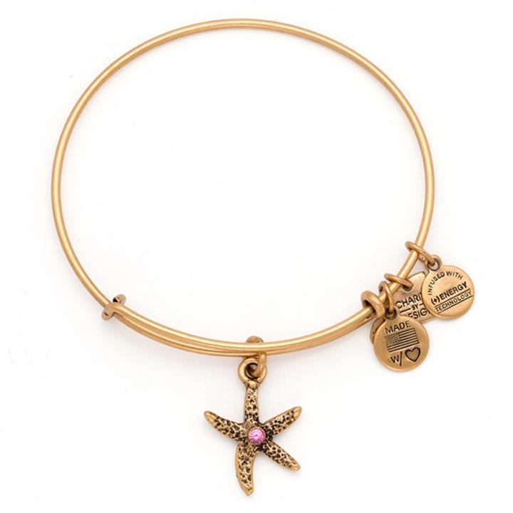 Alex And Ani Arms Of Strength Charm Bangle