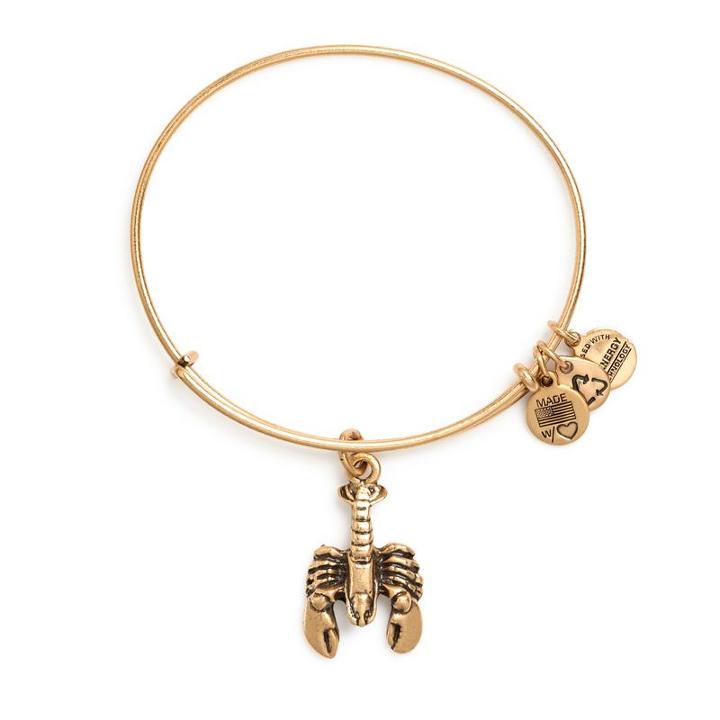 Alex And Ani Lobster Charm Bangle