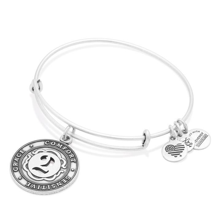 Alex And Ani Number 2 Charm Bangle