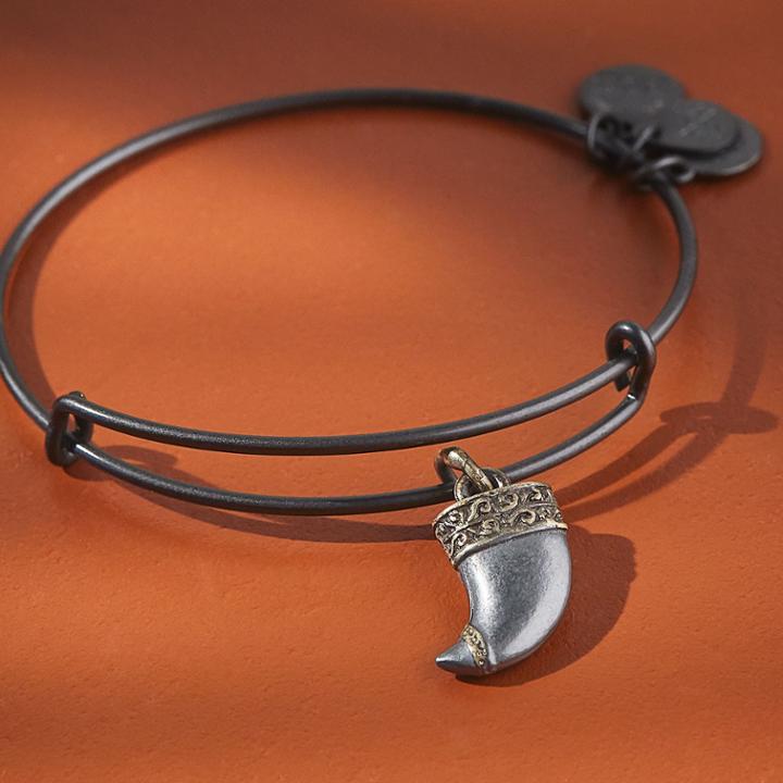 Alex And Ani Tiger's Claw Two Tone Charm Bangle