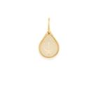 Alex And Ani Neptune Necklace Charm