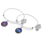 Alex And Ani Big And Little Dipper Set Of Two Charm Bangles | Big Brothers Big Sisters Of America