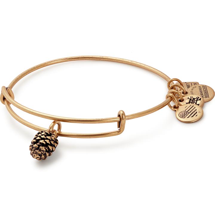 Alex And Ani Pinecone Charm Bangle Plan International, Rafaelian Gold Finish