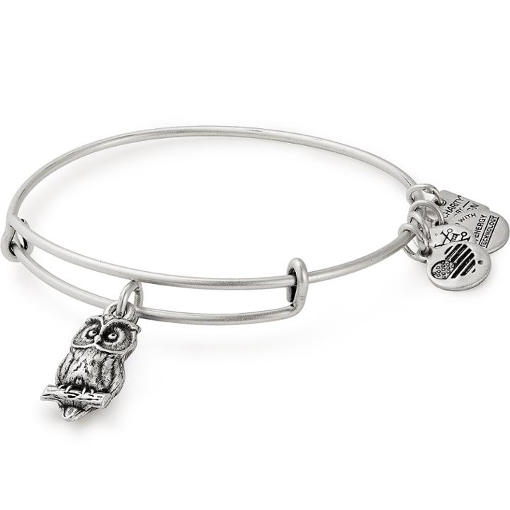 Alex And Ani Owl Charm Bangle Flying Kites, Rafaelian Silver Finish