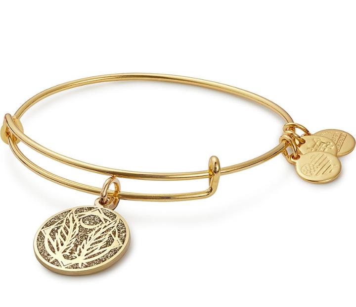 Alex And Ani Godspeed Color Infusion Charm Bangle, Shiny Gold Finish