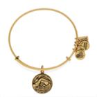 Alex And Ani Team Usa Swimming Charm Bangle