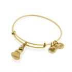 Alex And Ani The Knight Charm Bangle | Year Up