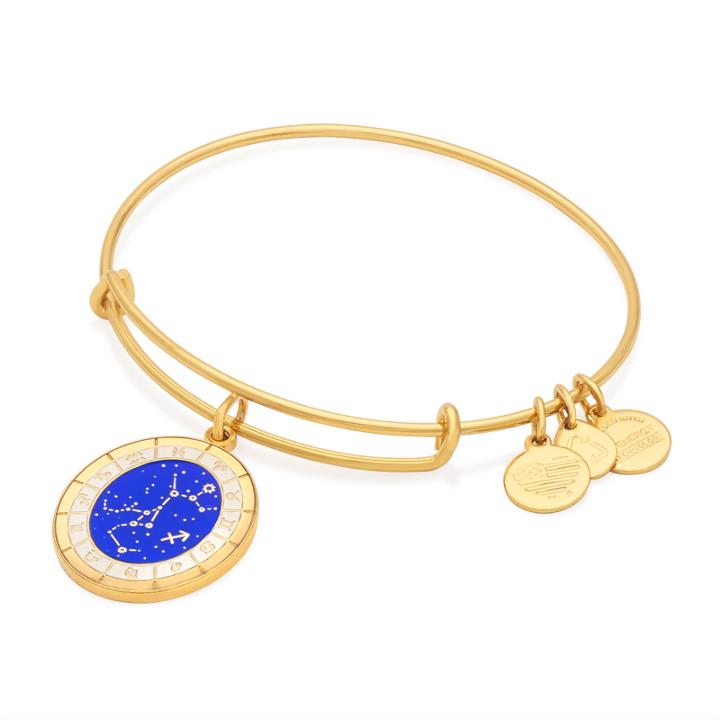 Alex And Ani Sagittarius Celestial Wheel Charm Bangle