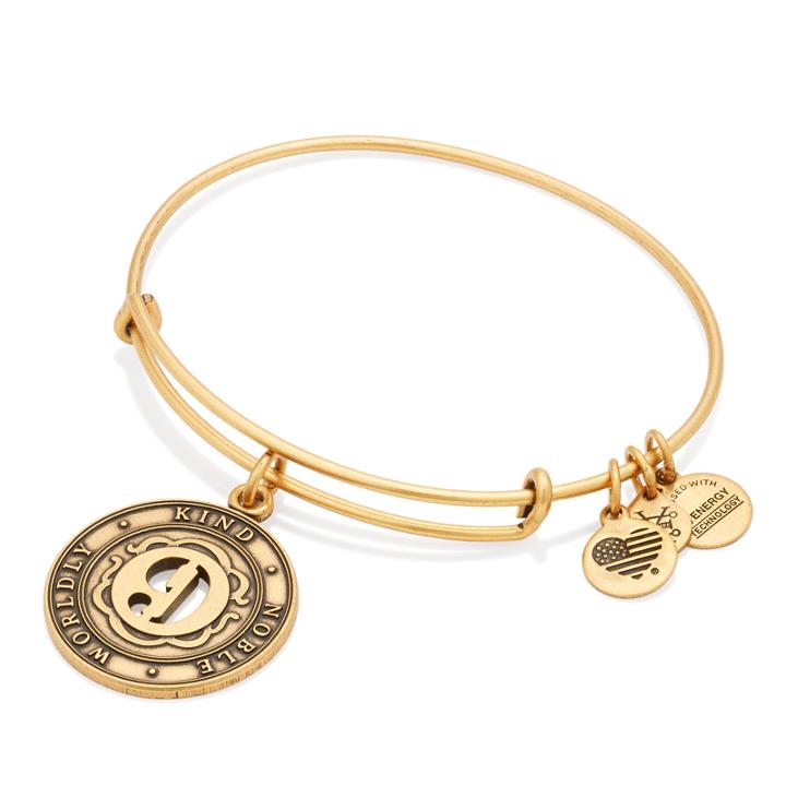 Alex And Ani Number 9 Charm Bangle