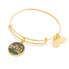Alex And Ani Brave Charm Bangle