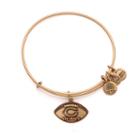 Alex And Ani Chicago Bears Football Charm Bangle