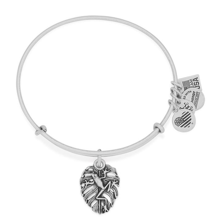 Alex And Ani Team Usa Tree Frog Charm Bangle, Rafaelian Silver Finish