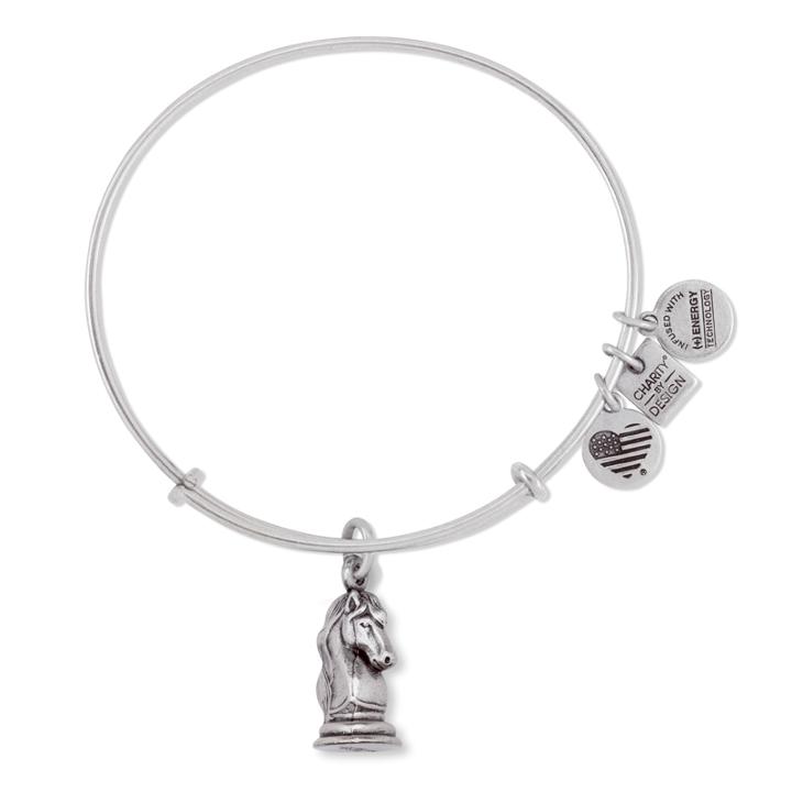 Alex And Ani The Knight Charm Bangle | Year Up, Rafaelian Silver Finish